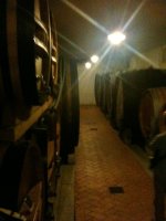 PO_Cellar_3.jpg
